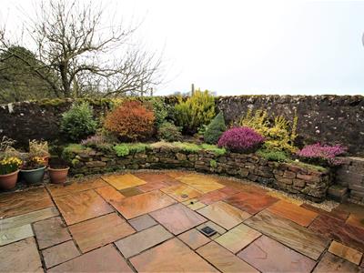 Picture 8